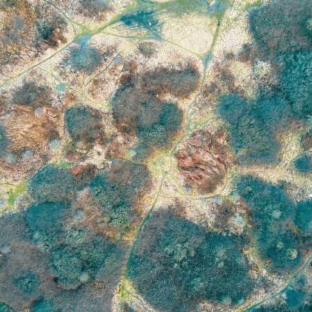 Feuchte oder schimmelbefallene Wandfläche als Beispiel für Sanierungsbedarf